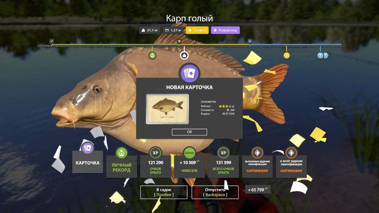 Фото точки