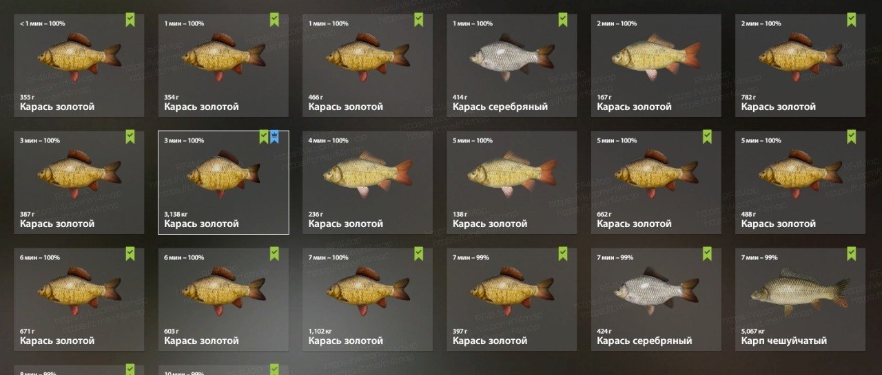Улов (Карась золотой) на трофей в RF4