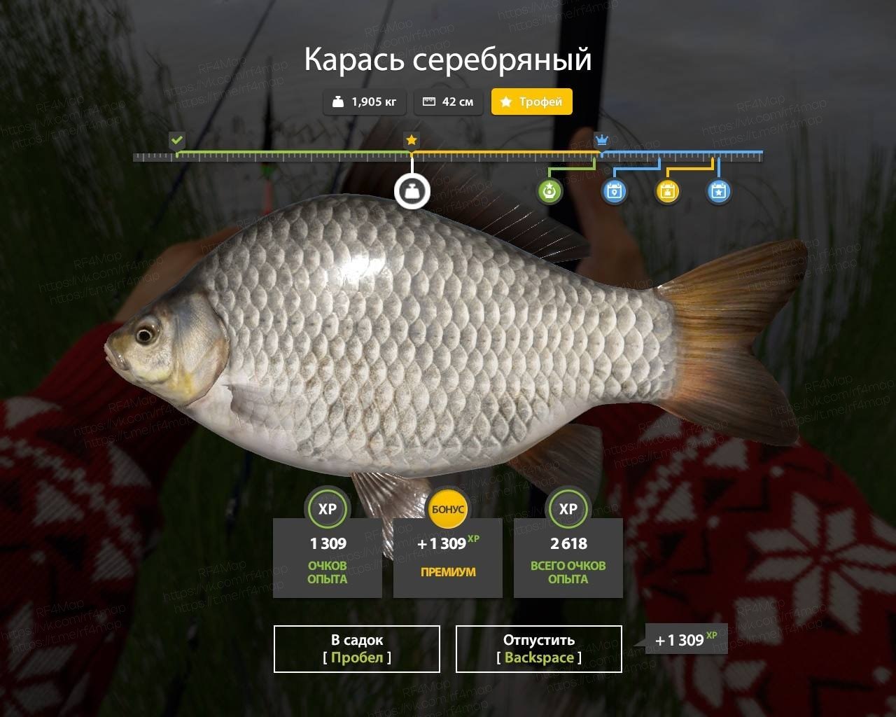 Фото точки