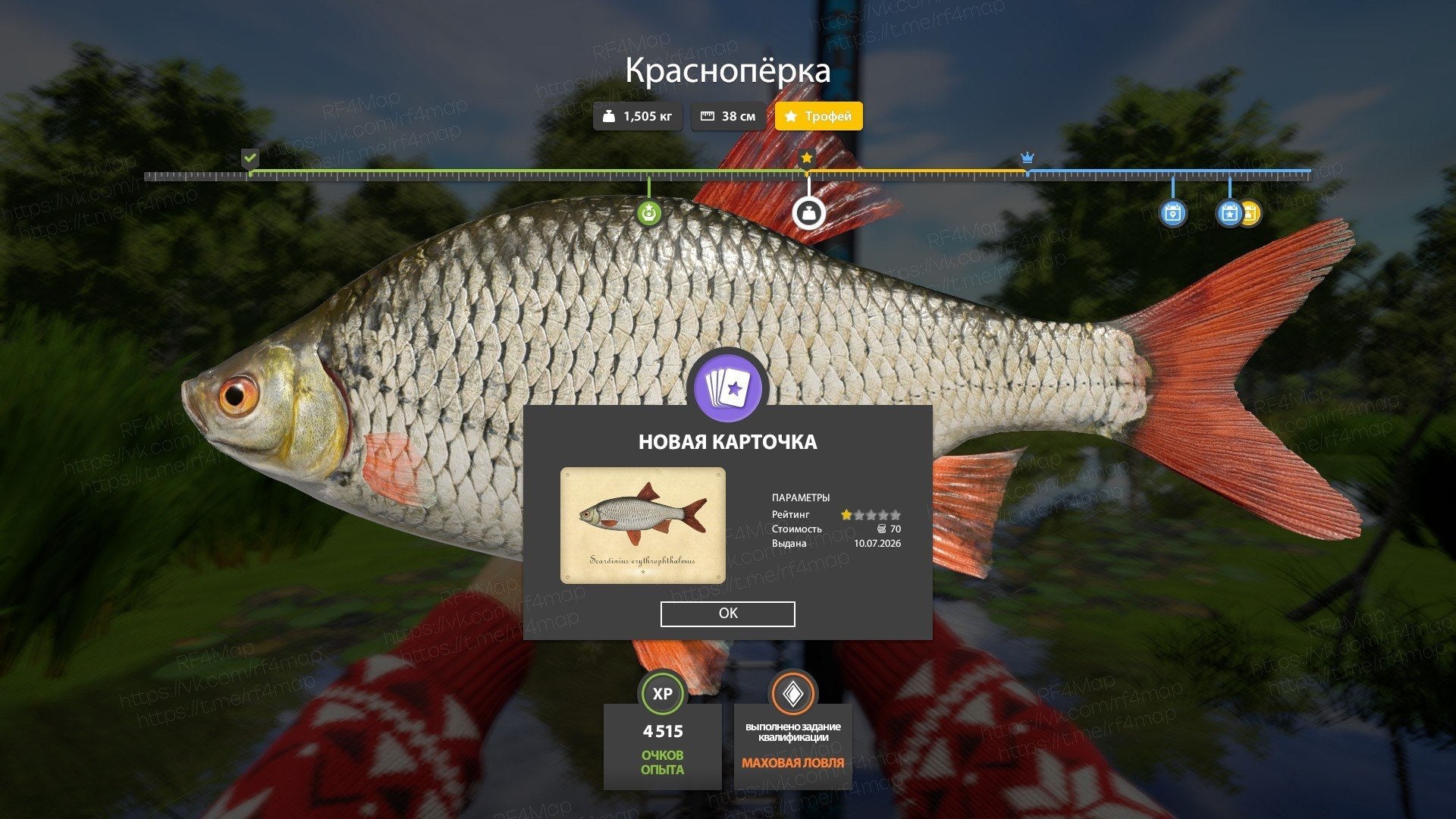 Фото точки