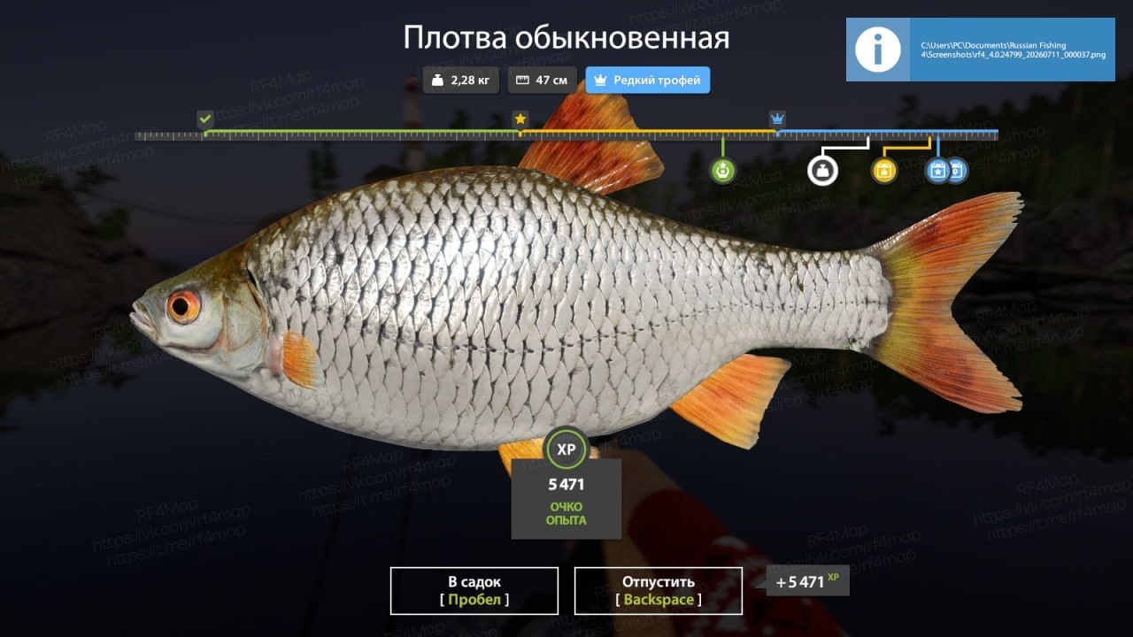 Фото точки