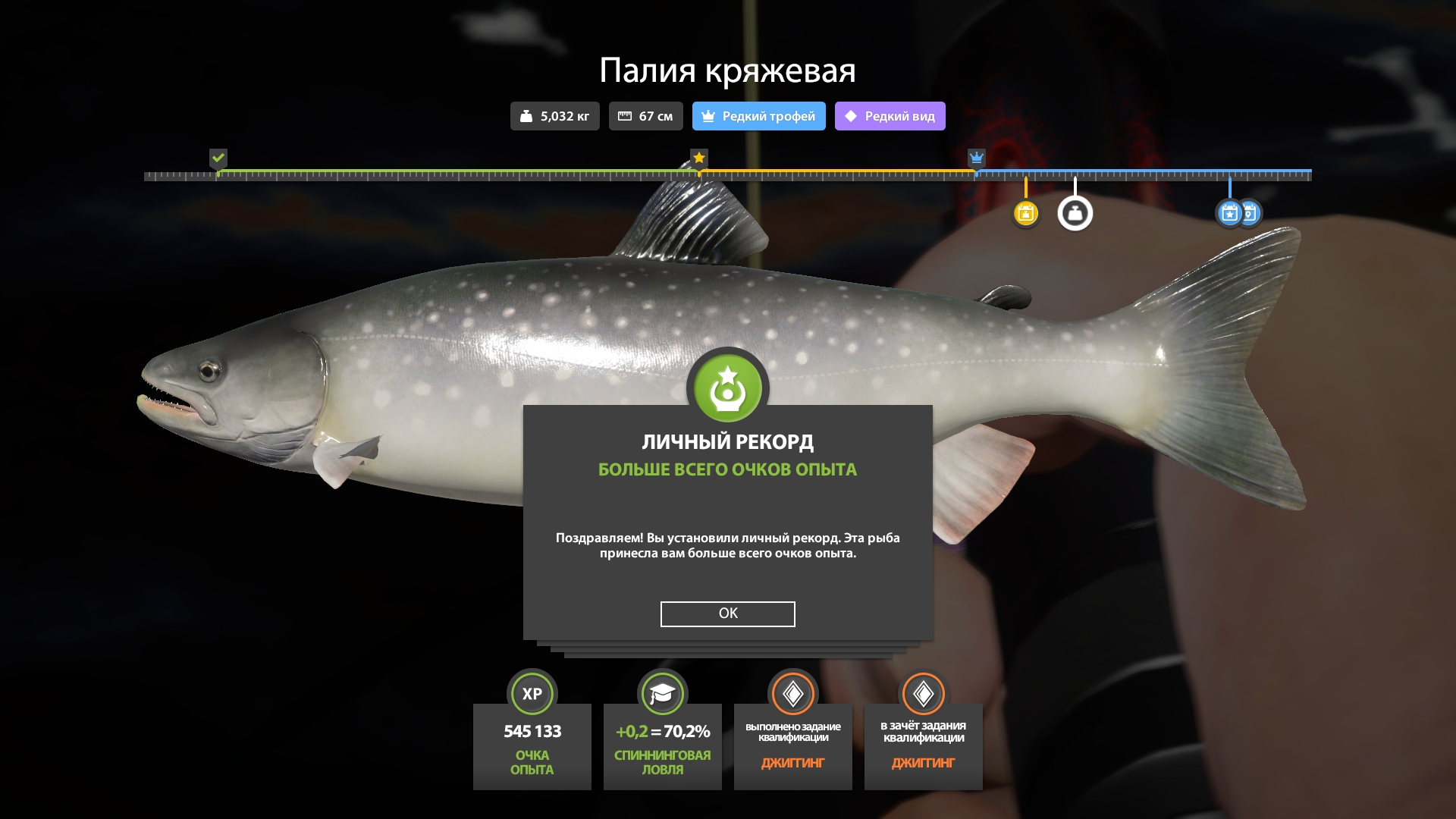 Фото точки