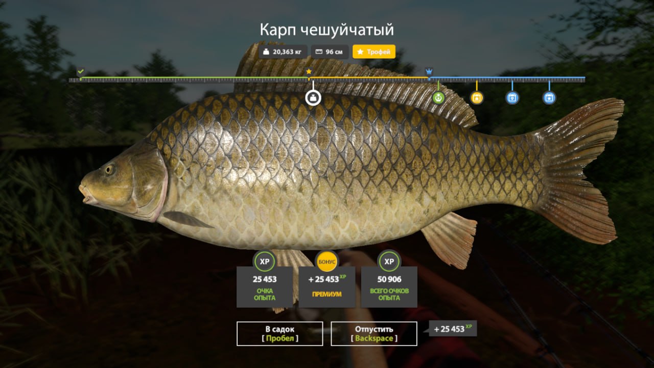 Фото точки