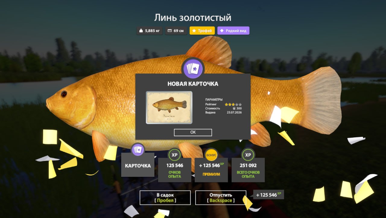Фото точки