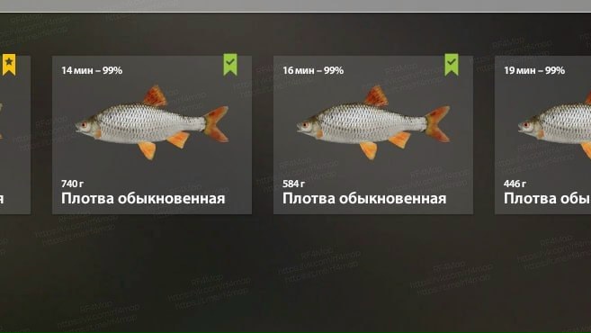 Фото точки