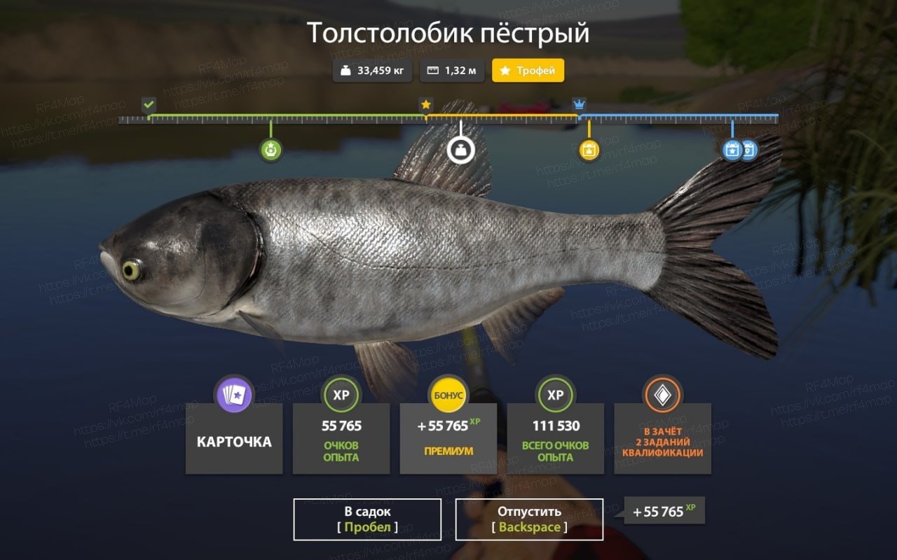 Фото точки