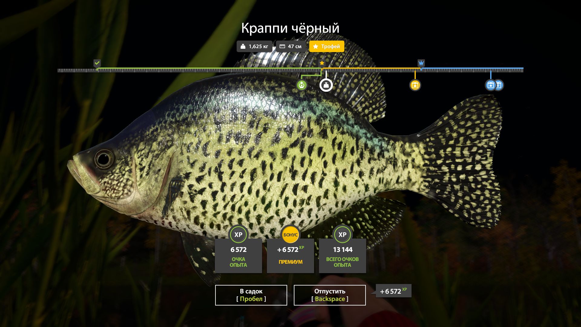 Скриншот точки клева на #трофей_rf4map