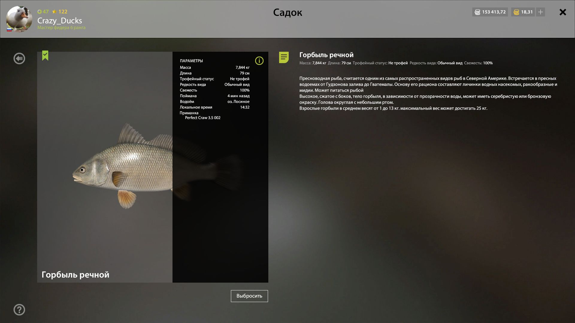 Фото точки